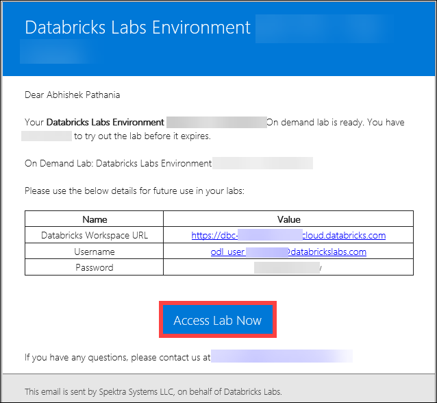 Environment details panel with the Databricks workspace credentials