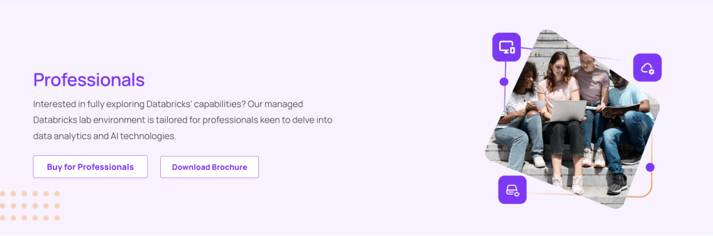 Databricks lab purchase option for professionals